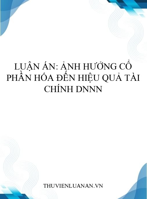 Luận án: Ảnh hưởng cổ phần hóa đến hiệu quả tài chính DNNN