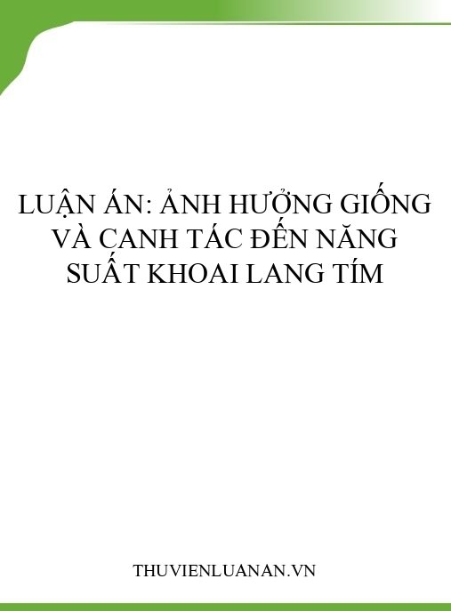 Luận án: Ảnh hưởng giống và canh tác đến năng suất khoai lang tím