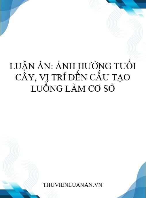Luận án: Ảnh hưởng tuổi cây, vị trí đến cấu tạo Luồng làm cơ sở