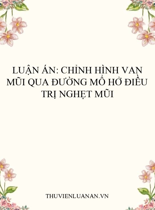 Luận án: Chỉnh hình van mũi qua đường mổ hở điều trị nghẹt mũi
