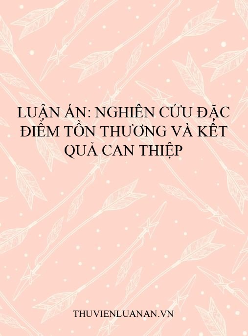 Luận án: Nghiên cứu đặc điểm tổn thương và kết quả can thiệp