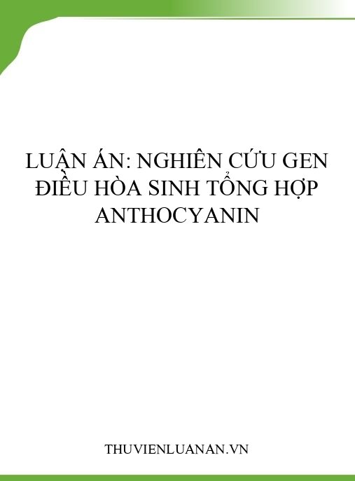 Luận án: Nghiên cứu gen điều hòa sinh tổng hợp anthocyanin