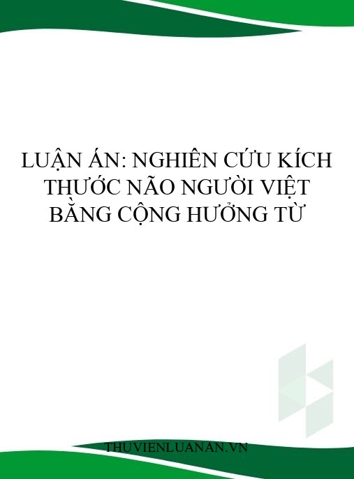 Luận án: Nghiên cứu kích thước não người Việt bằng cộng hưởng từ