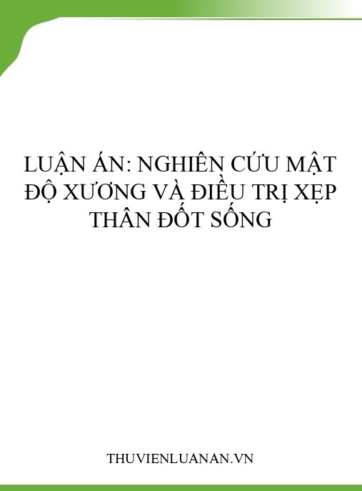 Luận án: Nghiên cứu mật độ xương và điều trị xẹp thân đốt sống