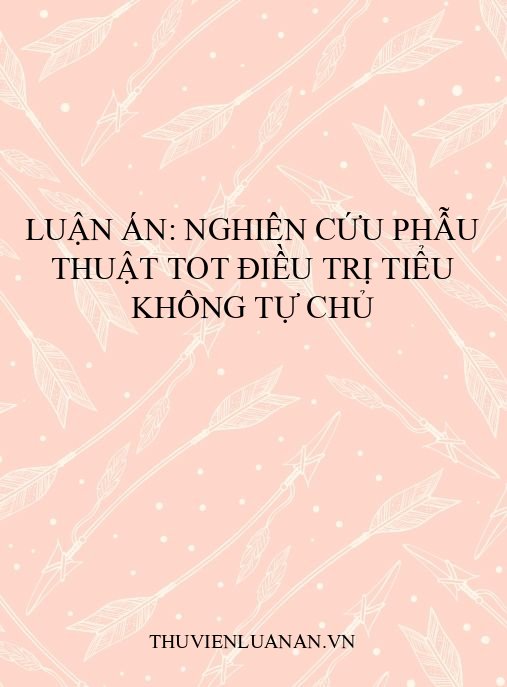 Luận án: Nghiên cứu phẫu thuật TOT điều trị tiểu không tự chủ