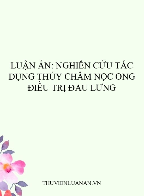 Luận án: Nghiên cứu tác dụng thủy châm nọc ong điều trị đau lưng