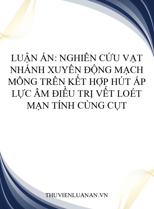 Luận án: Nghiên cứu vạt nhánh xuyên động mạch mông trên kết hợp hút áp lực âm điều trị vết loét mạn tính cùng cụt