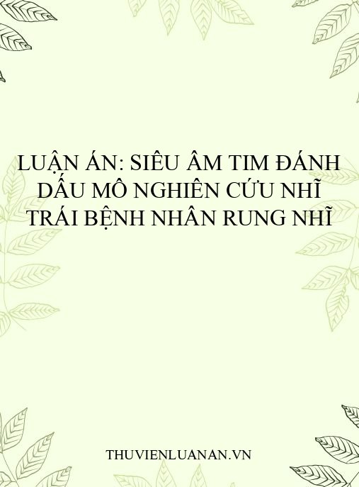 Luận án: Siêu âm tim đánh dấu mô nghiên cứu nhĩ trái bệnh nhân rung nhĩ